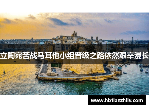 立陶宛苦战马耳他小组晋级之路依然艰辛漫长