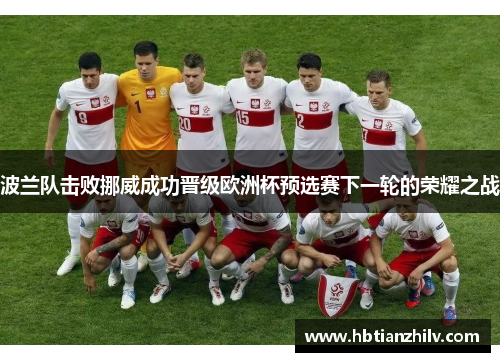 波兰队击败挪威成功晋级欧洲杯预选赛下一轮的荣耀之战