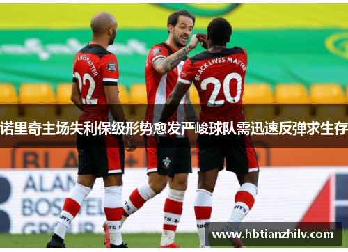 诺里奇主场失利保级形势愈发严峻球队需迅速反弹求生存