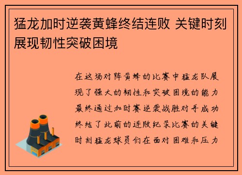 猛龙加时逆袭黄蜂终结连败 关键时刻展现韧性突破困境