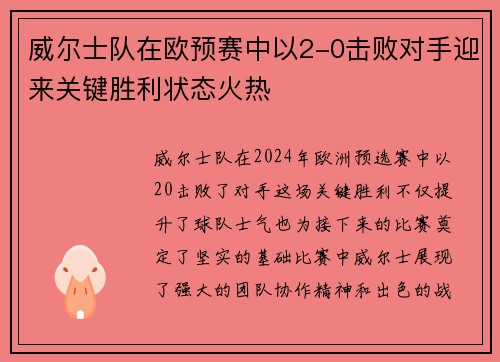 威尔士队在欧预赛中以2-0击败对手迎来关键胜利状态火热