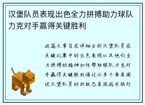汉堡队员表现出色全力拼搏助力球队力克对手赢得关键胜利