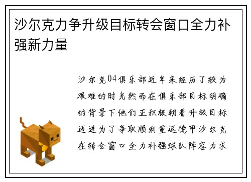沙尔克力争升级目标转会窗口全力补强新力量
